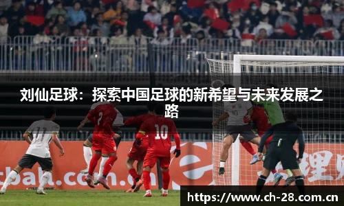 加拿大28